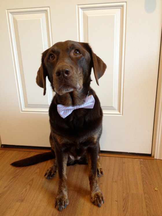 Reece's in her lilac bow-tie.