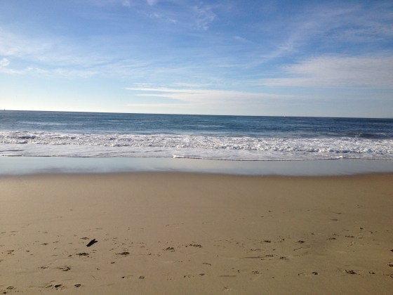 Seafood Lunch on the Beach
