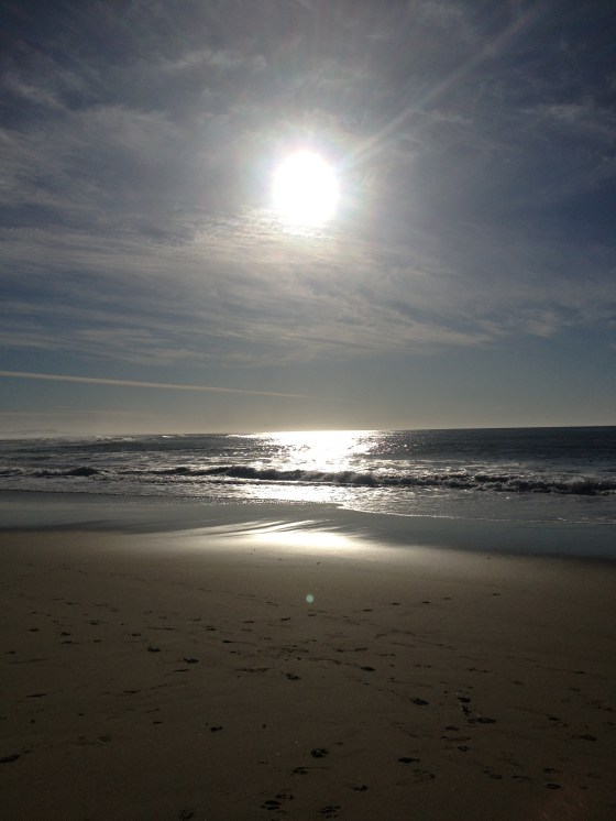 Seafood Lunch on the Beach