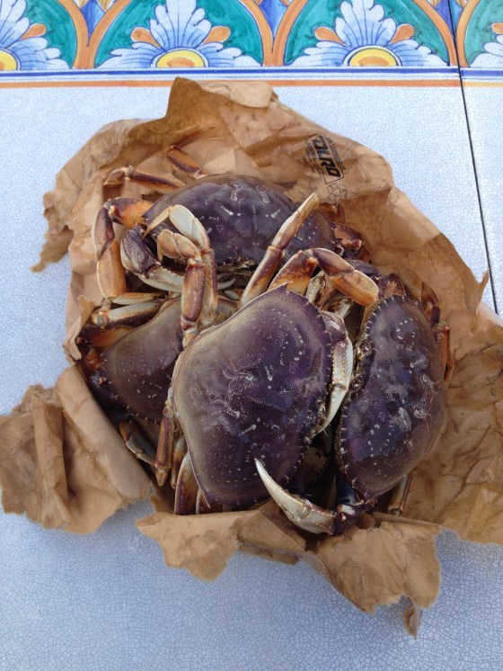 A Crab-by Lunch