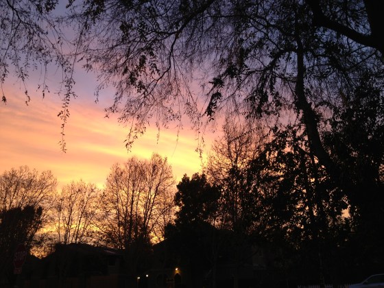 Storm-Aggedon of 2014