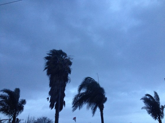 Storm-Aggedon of 2014