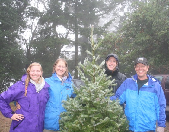 Christmas Tree Farm 2014