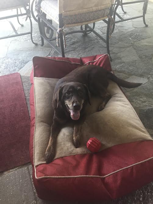 My cooking assistant